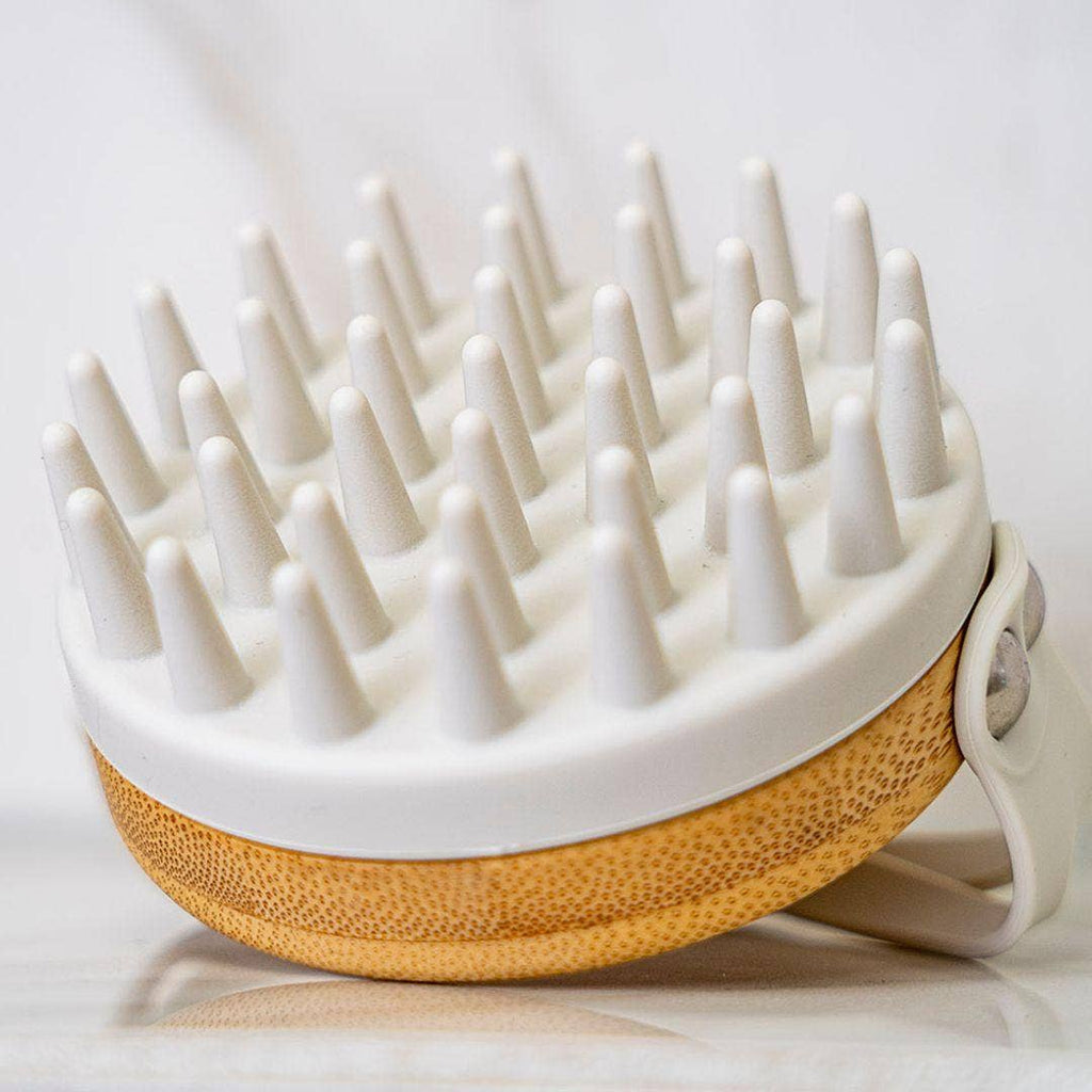 Brosse Anti-Chute [Th]
